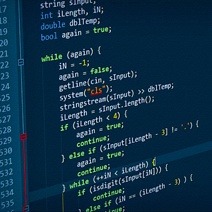 The coding process